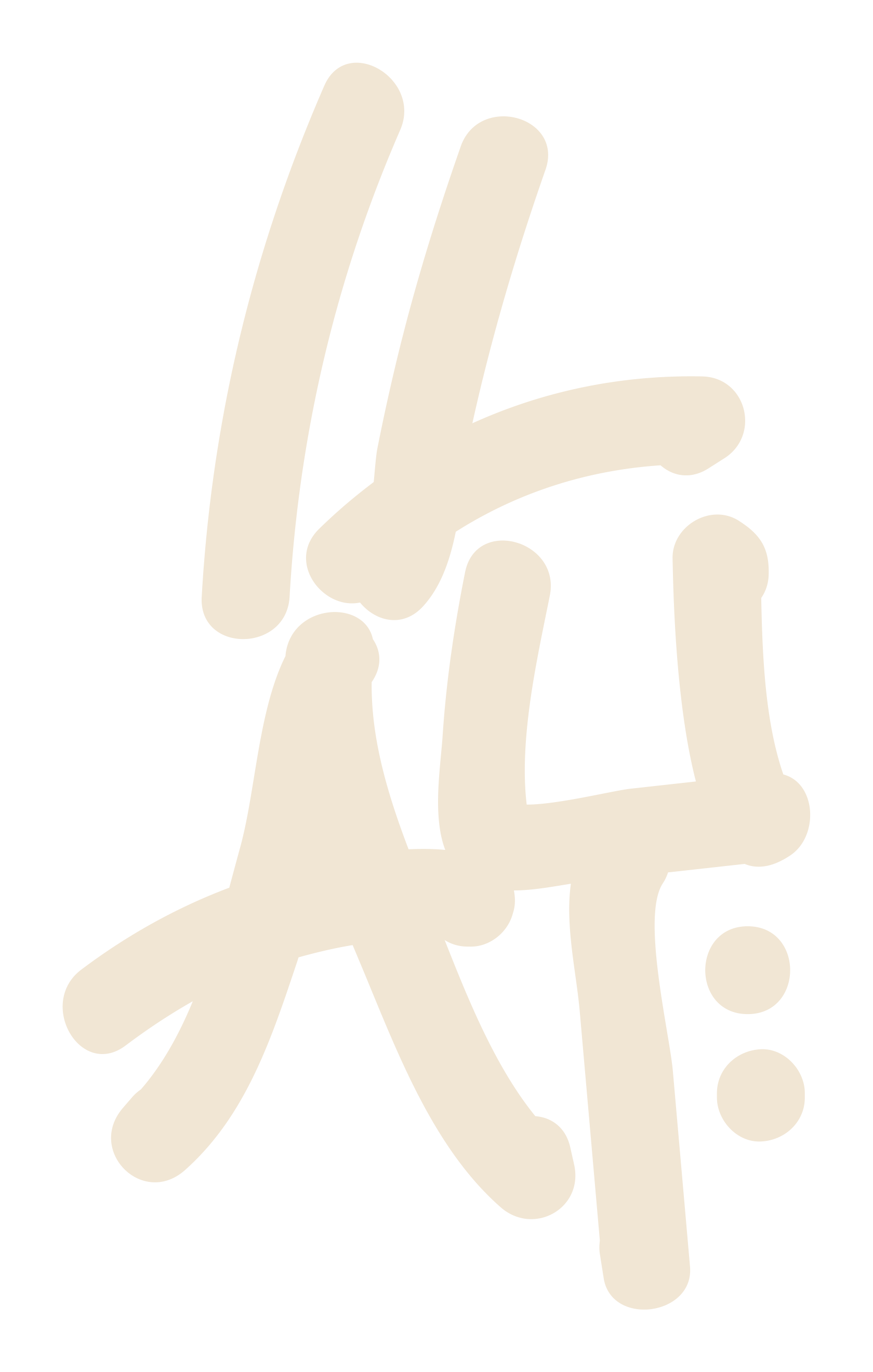 ILAY SAKAL